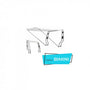 ROLL BAR INDY AVEC BIMINI